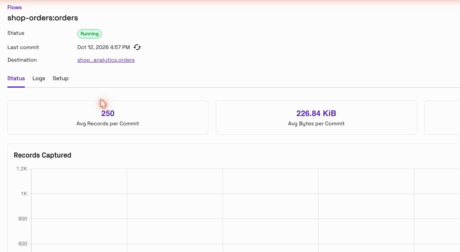 The flow running in OneFlow